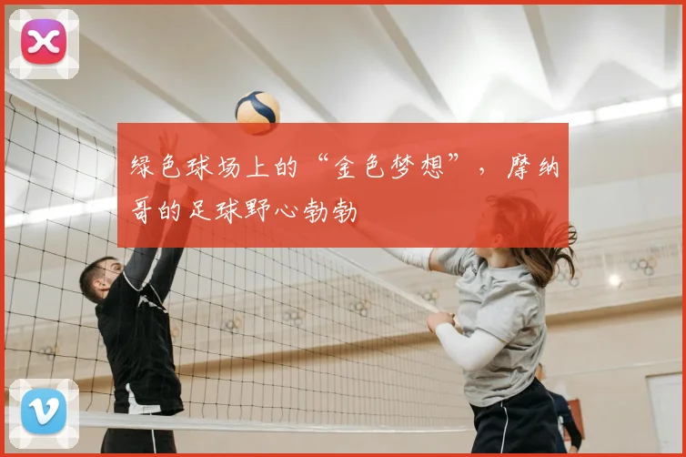 绿色球场上的“金色梦想”，摩纳哥的足球野心勃勃
