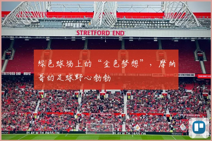 绿色球场上的“金色梦想”,摩纳哥的足球野心勃勃